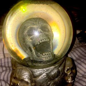 Skull snow globe